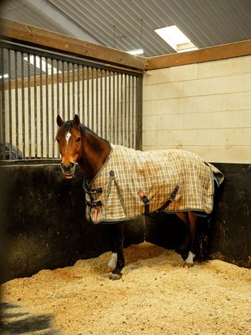 1100 Camwood Way, Franklin, TN 37064