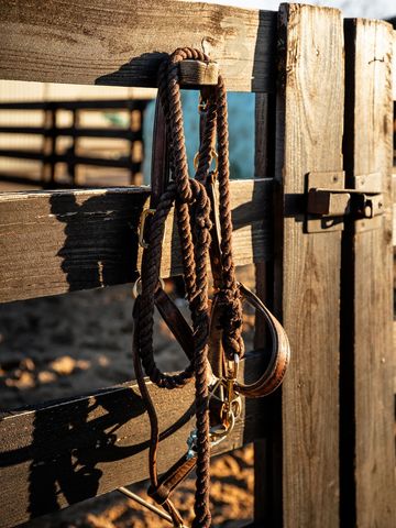 1100 Camwood Way, Franklin, TN 37064