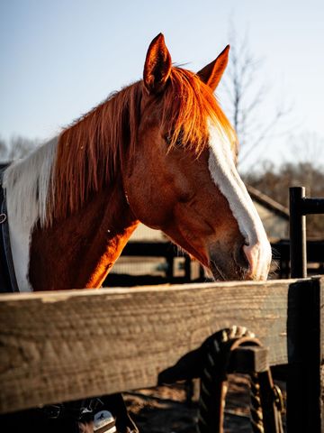 1100 Camwood Way, Franklin, TN 37064