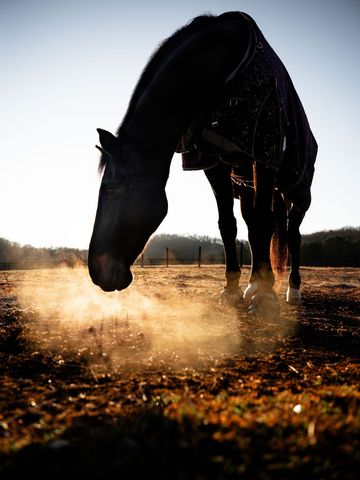 1100 Camwood Way, Franklin, TN 37064