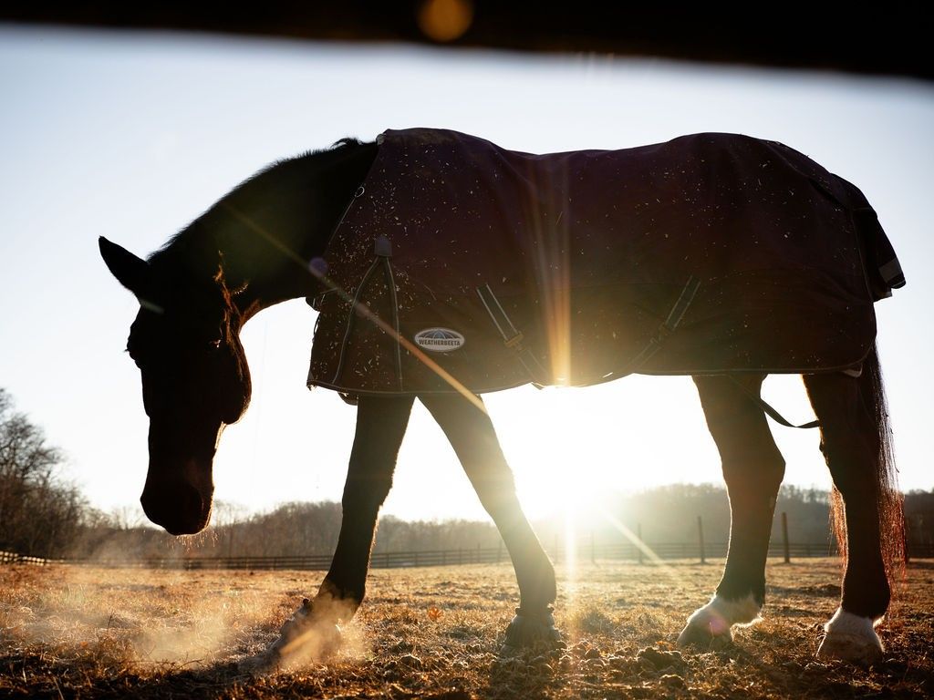 1100 Camwood Way, Franklin, TN 37064