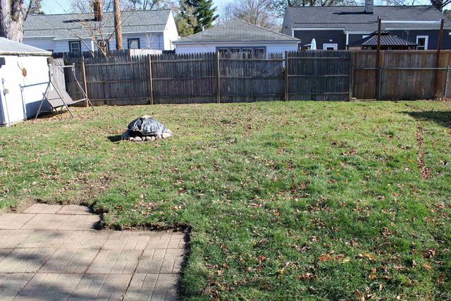 629 Chippewa Street, Mount Clemens, MI 48043