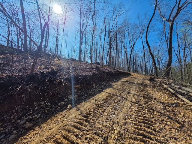 0 Highway 50 E, Centerville, TN 37033