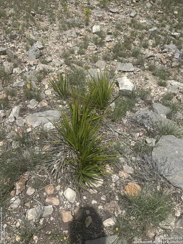 1504 Sd 45730, Rocksprings, TX 78880