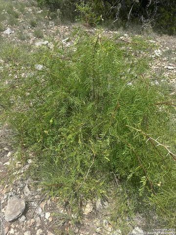 1504 Sd 45730, Rocksprings, TX 78880