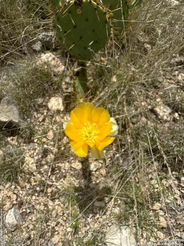 1504 Sd 45730, Rocksprings, TX 78880