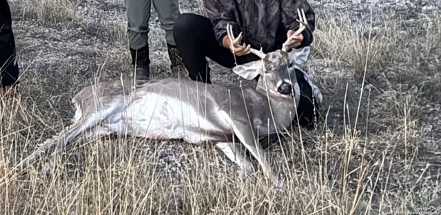 1504 Sd 45730, Rocksprings, TX 78880