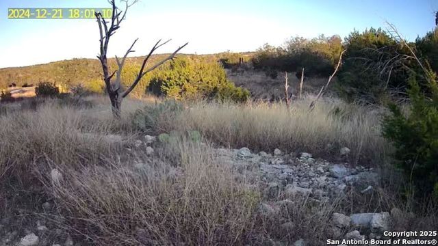 1504 Sd 45730, Rocksprings, TX 78880