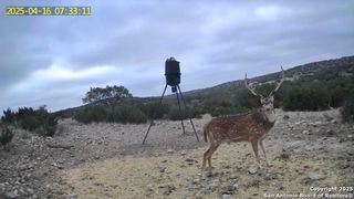 1504 Sd 45730, Rocksprings, TX 78880