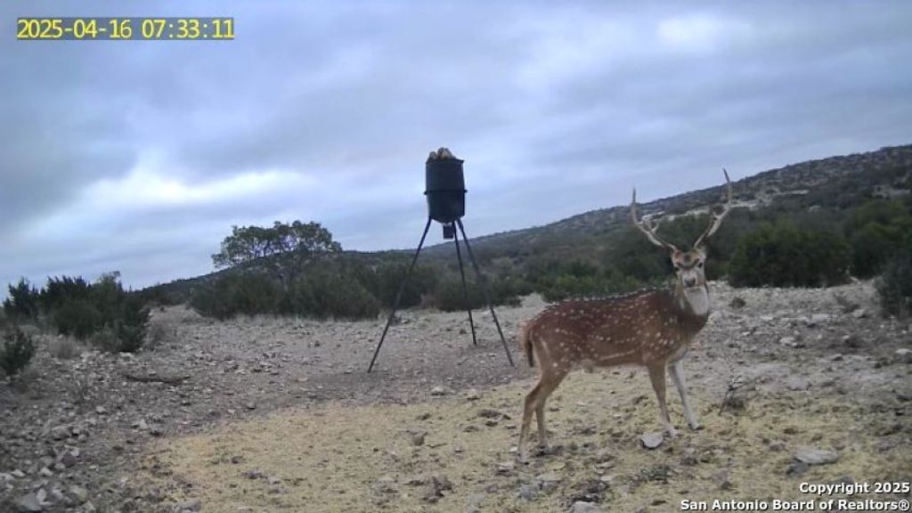 1504 Sd 45730, Rocksprings, TX 78880