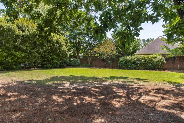 110 Lake Hilton Drive, Chapin, SC 29036