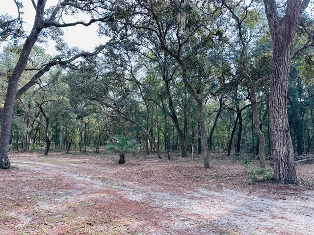 13750 NW 88 TERRACE, Chiefland, FL 32626