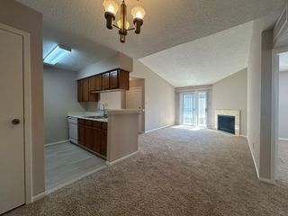 12550 Whittington Drive 610, Houston, TX 77077