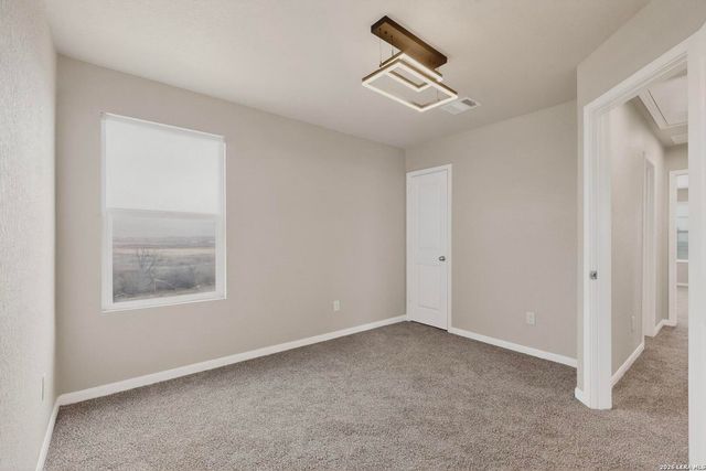 1912 Grey Wagtail, New Braunfels, TX 78130