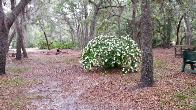 124 Neal Rd, Hawthorne, FL 32640