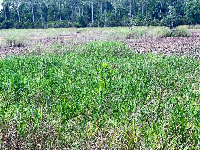 124 Neal Rd, Hawthorne, FL 32640