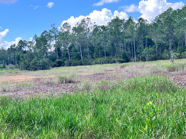 124 Neal Rd, Hawthorne, FL 32640