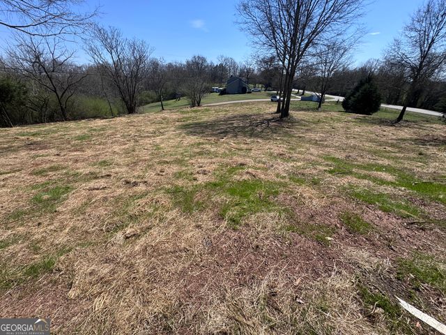 0 River Ridge, Carnesville, GA 30521