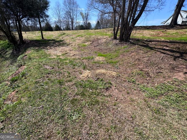 0 River Ridge, Carnesville, GA 30521