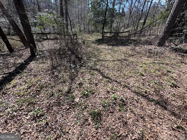 0 River Ridge, Carnesville, GA 30521