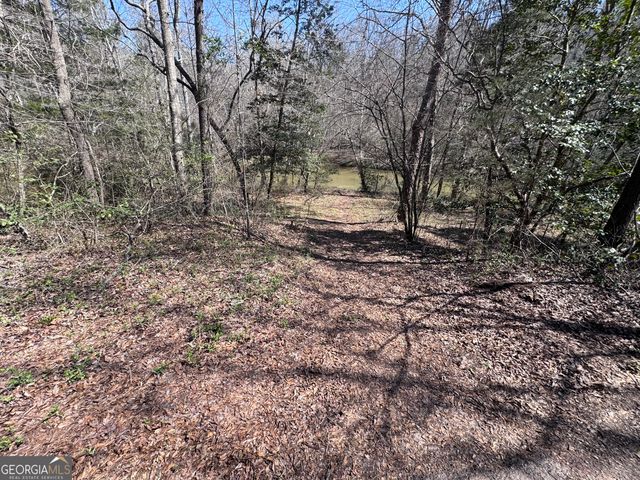 0 River Ridge, Carnesville, GA 30521