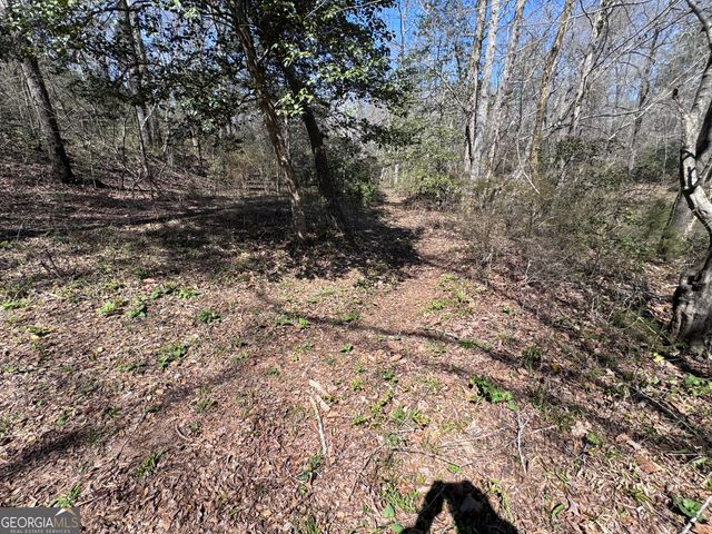 0 River Ridge, Carnesville, GA 30521