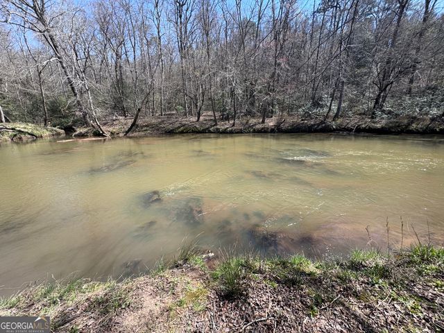 0 River Ridge, Carnesville, GA 30521
