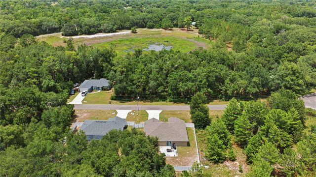 162 GUAVA TERRACE, Ocklawaha, FL 32179