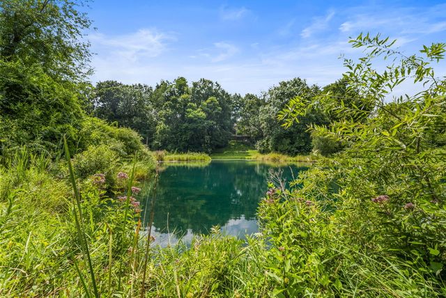 60 Timber Ridge Court, York Twp, MI 48160