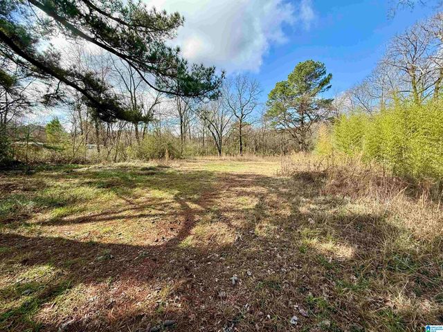 33866 HIGHWAY 280, Childersburg, AL 35044