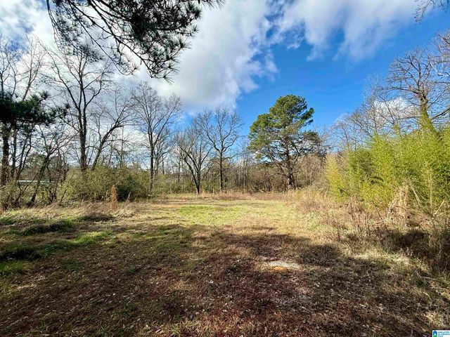 33866 HIGHWAY 280, Childersburg, AL 35044