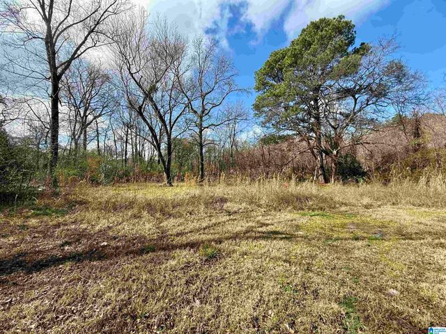 33866 HIGHWAY 280, Childersburg, AL 35044