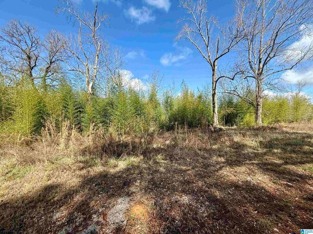 33866 HIGHWAY 280, Childersburg, AL 35044