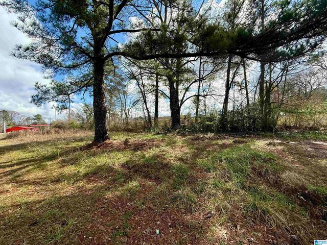 33866 HIGHWAY 280, Childersburg, AL 35044