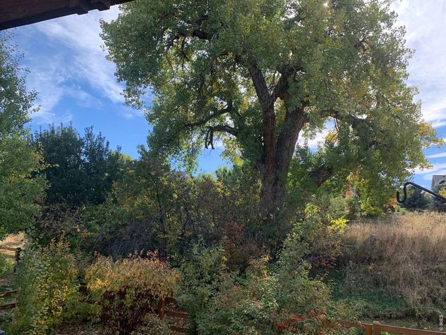 629 Deer Meadow Dr, Loveland, CO 80537