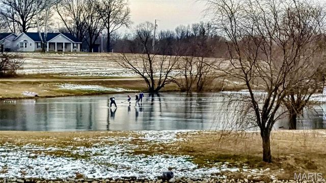 124 Taylor Lake Dr, Troy, IL 62294