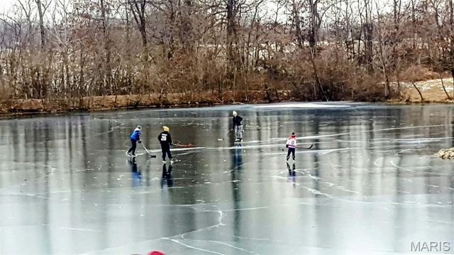 124 Taylor Lake Dr, Troy, IL 62294