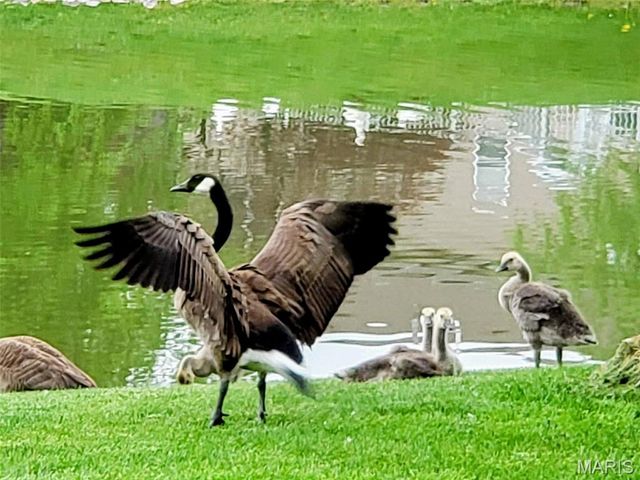 124 Taylor Lake Dr, Troy, IL 62294