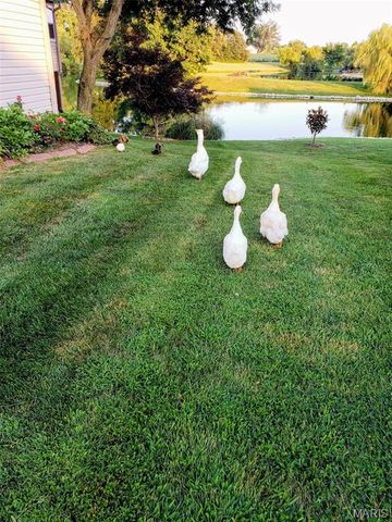 124 Taylor Lake Dr, Troy, IL 62294