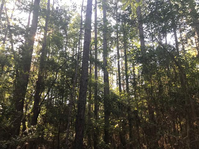 011 Thomas Richard Ln., Hattiesburg, MS 39401