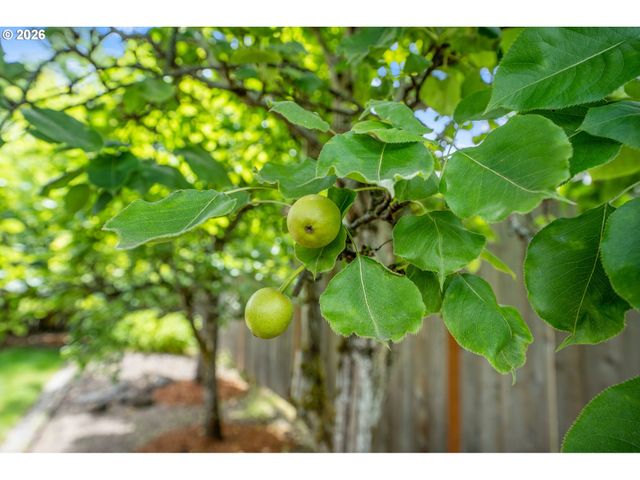 2355 Sw BALSAM Ave, Beaverton, OR 97005