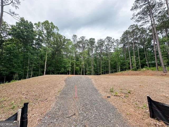 0 Woodcock Court LOT 8,9,10, Monticello, GA 31064
