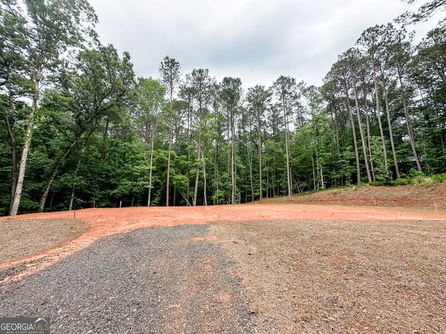 0 Woodcock Court LOT 8,9,10, Monticello, GA 31064