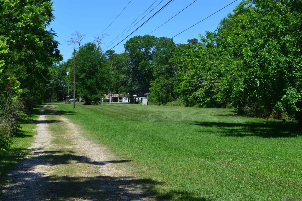 14289 W A J Rouyea Rd, Gonzales, LA 70737