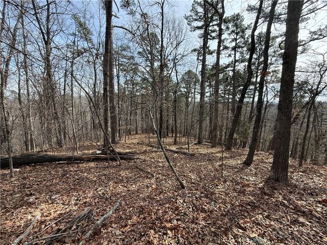 Tract 2 & 3 Cardinal Ridge Road, Eureka Springs, AR 72632
