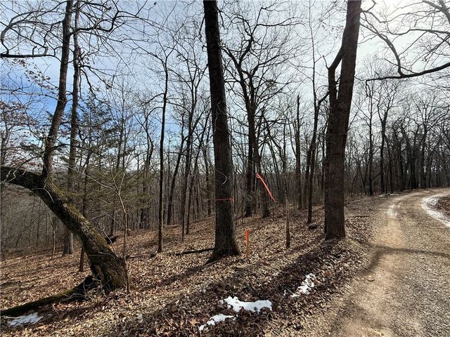 Tract 2 & 3 Cardinal Ridge Road, Eureka Springs, AR 72632