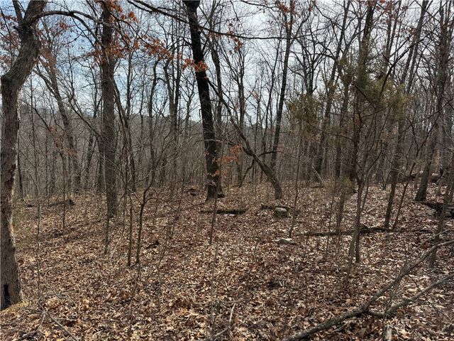 Tract 2 & 3 Cardinal Ridge Road, Eureka Springs, AR 72632