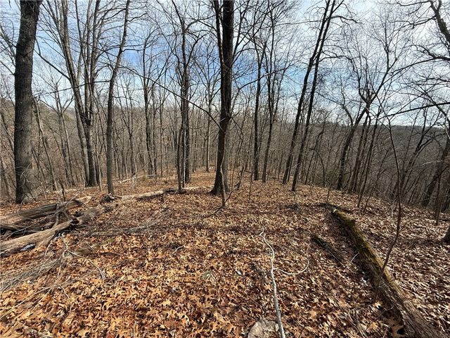 Tract 2 & 3 Cardinal Ridge Road, Eureka Springs, AR 72632