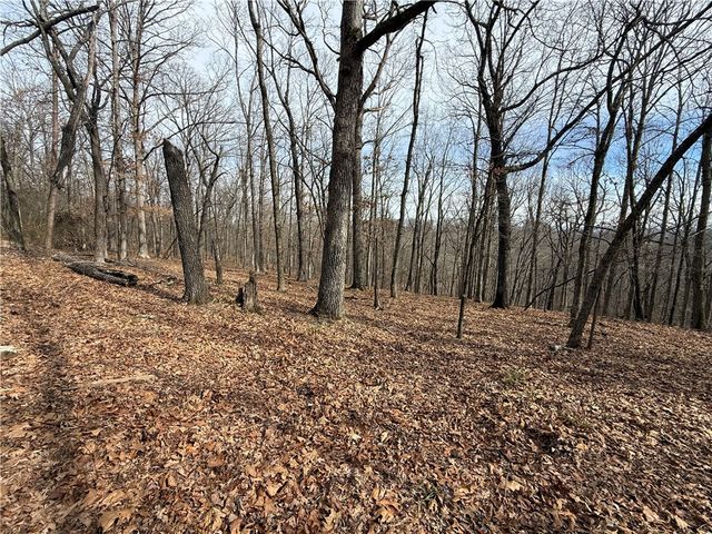 Tract 2 & 3 Cardinal Ridge Road, Eureka Springs, AR 72632
