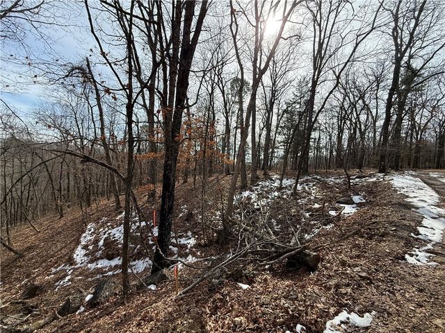 Tract 2 & 3 Cardinal Ridge Road, Eureka Springs, AR 72632